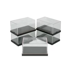 Wave T Case SS Display Case