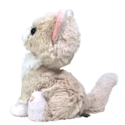 Kitten Plush: Ragdoll -Bandai Store 95ac7038b674441e856473983a26c81b.jpg