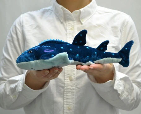 Bowmouth Guitarfish Plushie 8 Bowmouth Guitarfish Plushie - Image 8